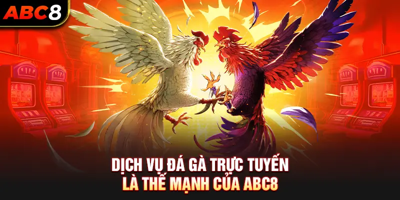 Dịch vụ đá gà trực tuyến là thế mạnh của ABC8