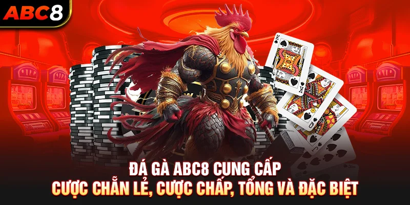 Đá gà ABC8 cung cấp cược chẵn lẻ, cược chấp, tổng và đặc biệt