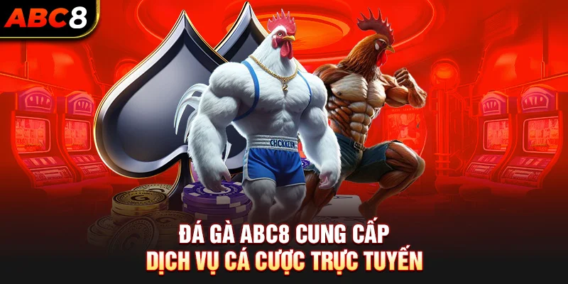 Đá gà ABC8 cung cấp dịch vụ cá cược trực tuyến